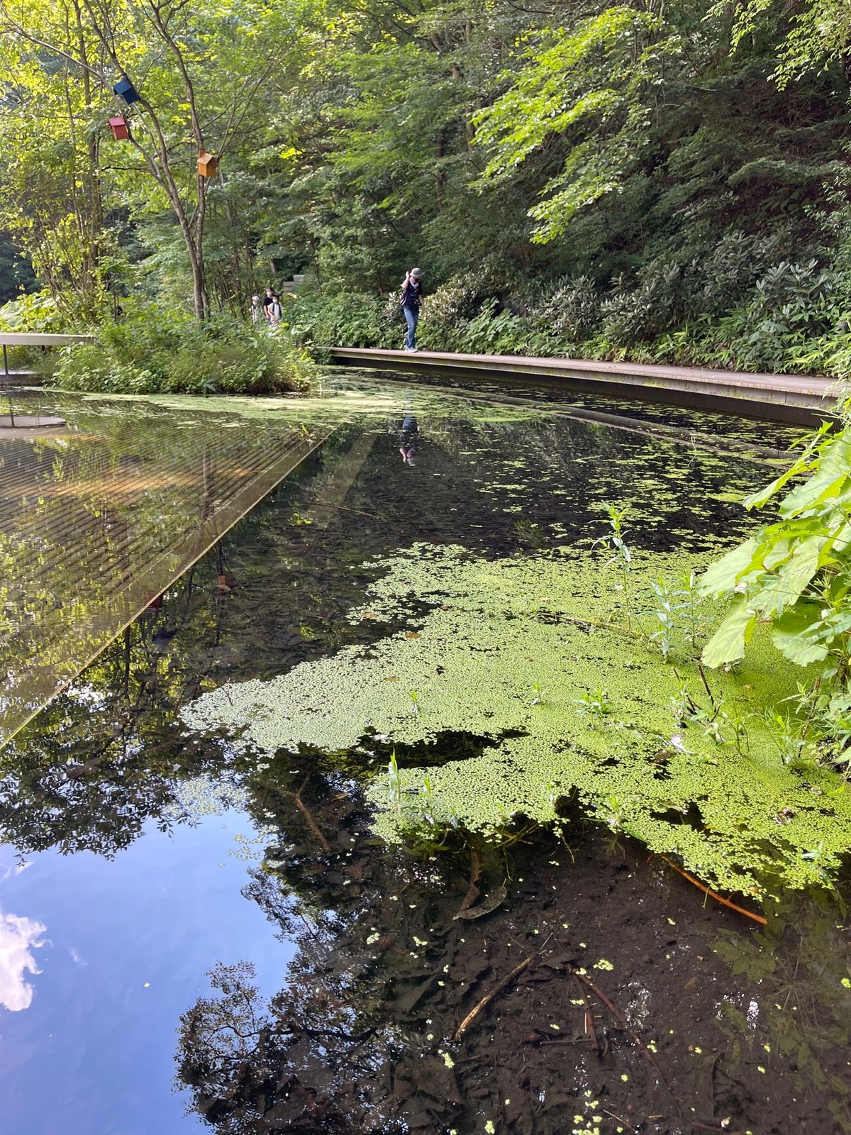 ピッキオの「野鳥の森ネイチャーウォッチング」に参加

結構軽い気持ちで参加...