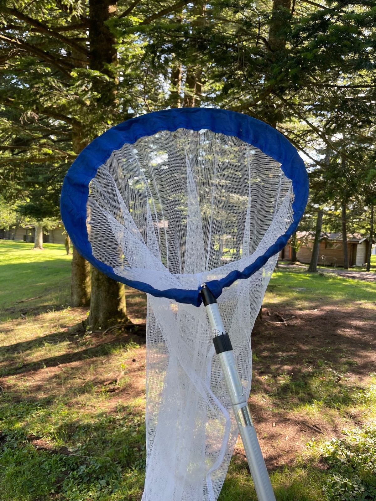 軽井沢プリンスホテル『ネイチャーキッズの森』の『親子ではじめて森遊び』で次...