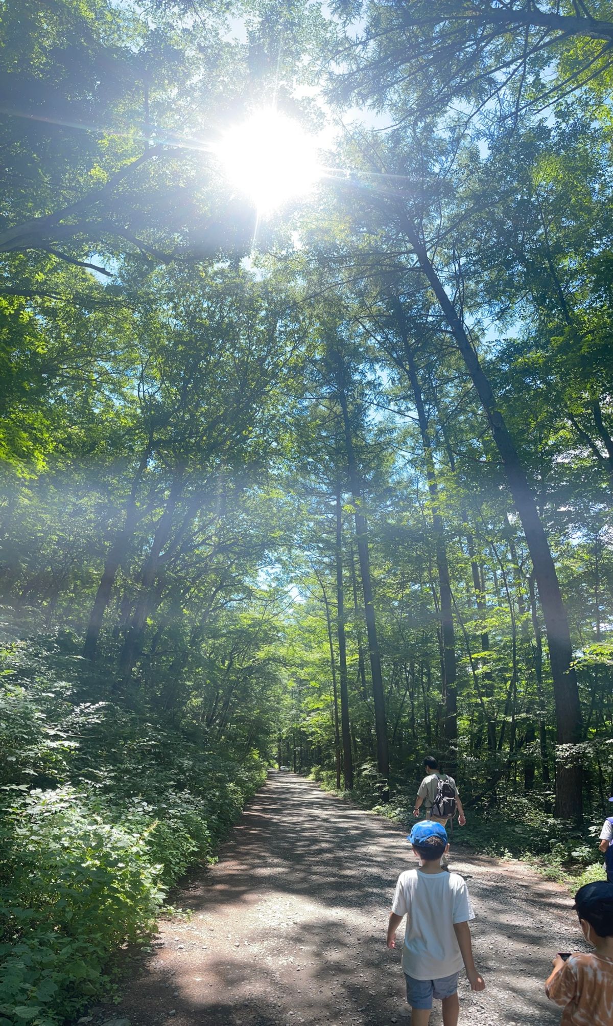 ピッキオの「野鳥の森ネイチャーウォッチング」に参加

結構軽い気持ちで参加...