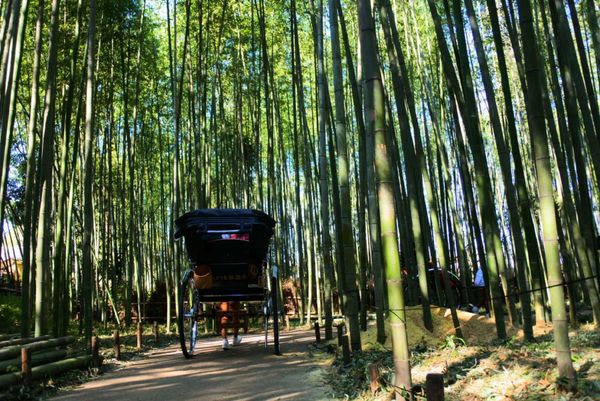 日本・京都府「京都」の写真