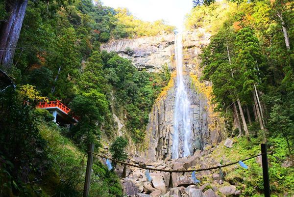 日本・和歌山県「和歌山」の写真