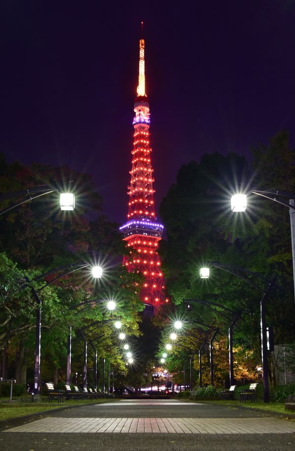 日本・東京都「東京都」の写真