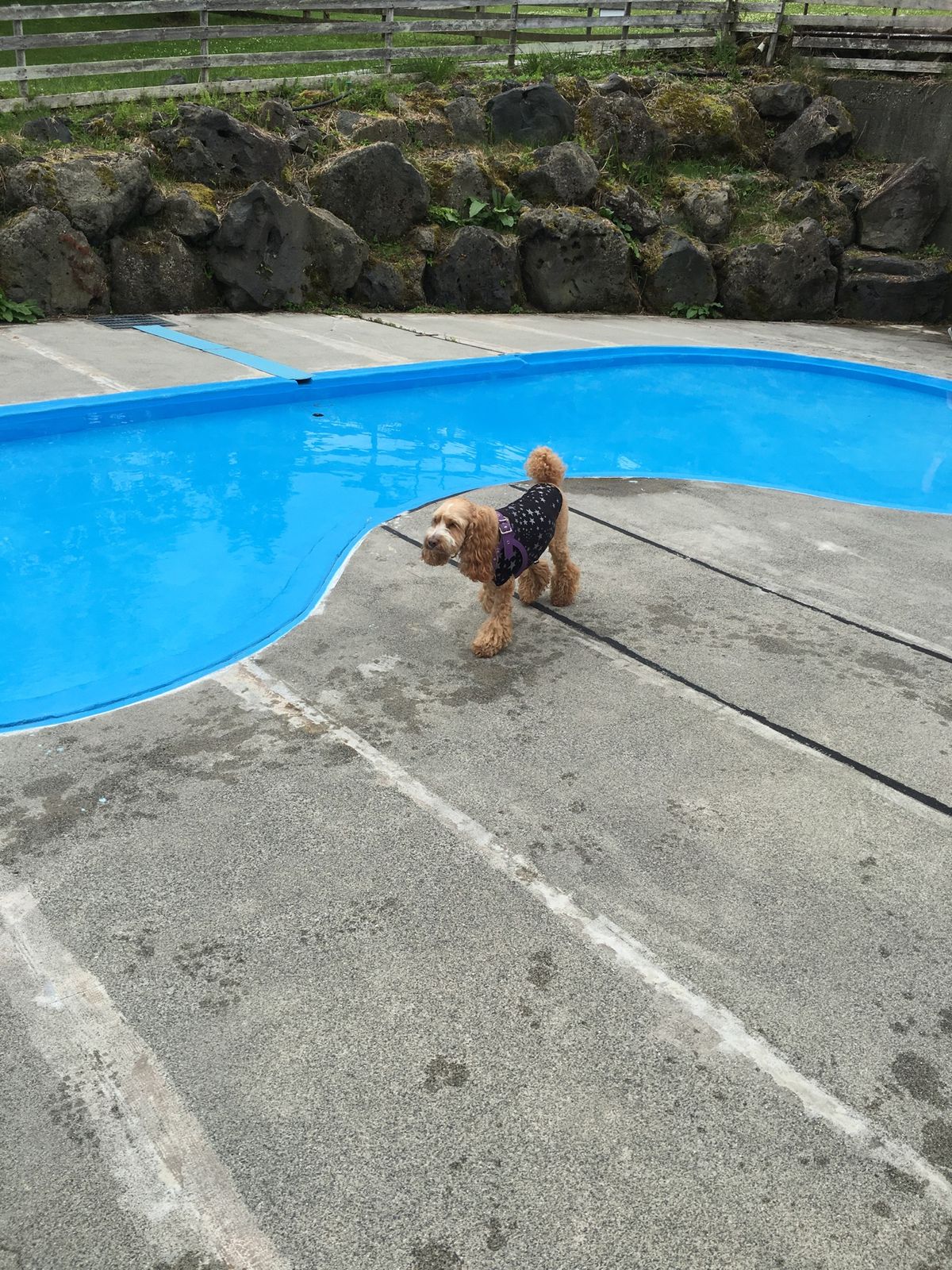 天気に寄っては富士山が🗻どーんと見えます。