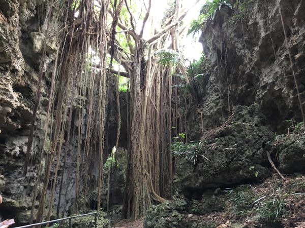 日本・沖縄県「沖縄」の写真