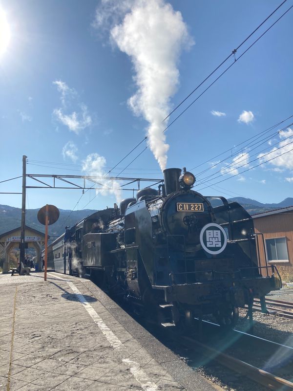 日本・静岡県「大井川鐵道と寸又峡」の写真：2020/11/12大井川鐵道に乗ってき...