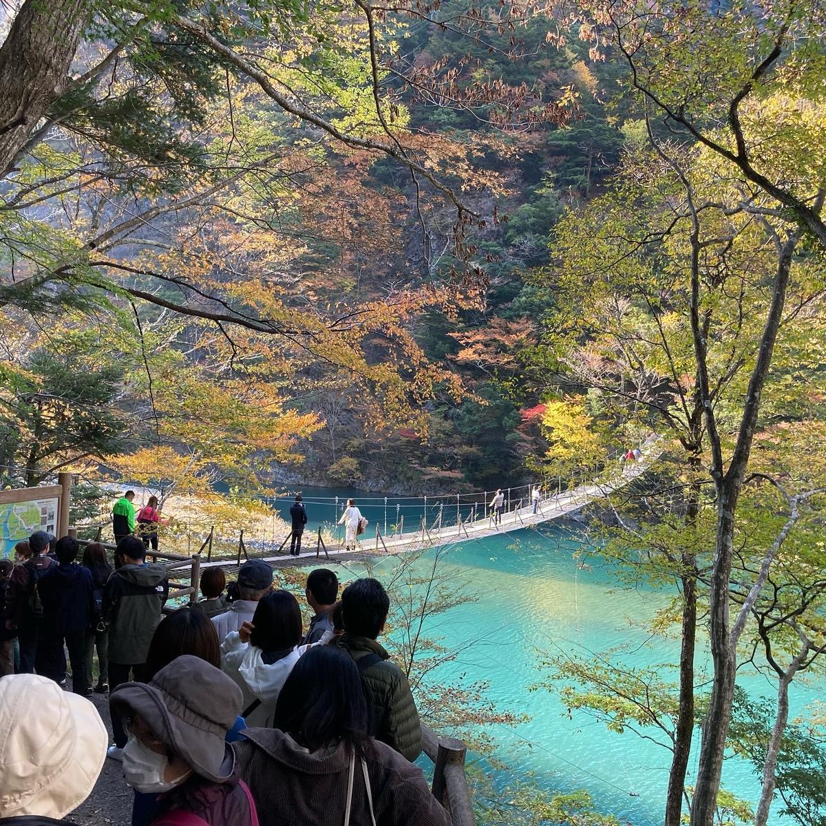 2020/11/12大井川鐵道に乗ってきました！

久しぶりのバスツア...