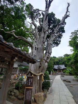 白浜神社
