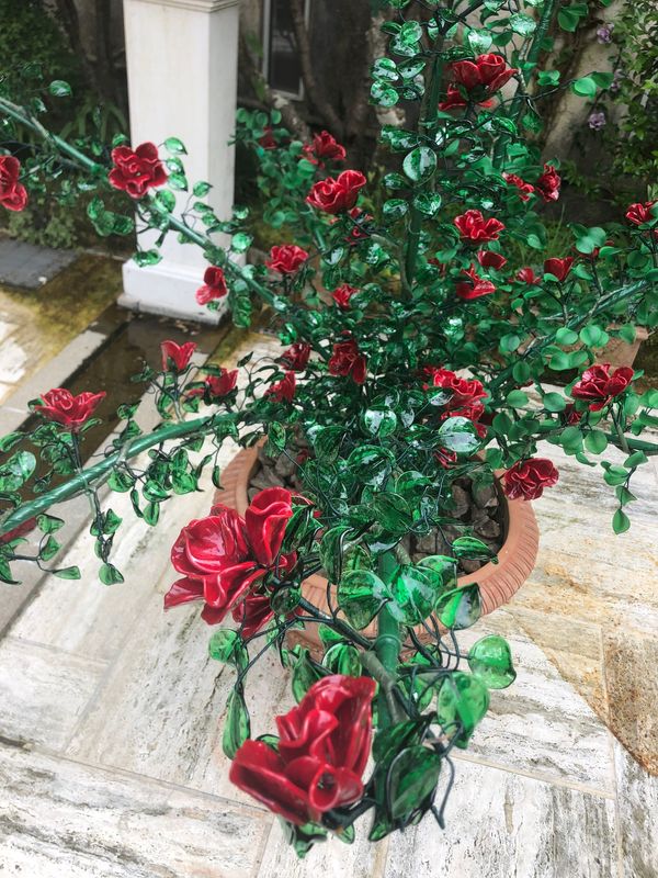 日本・静岡県「伊豆白浜＆熱海」の写真