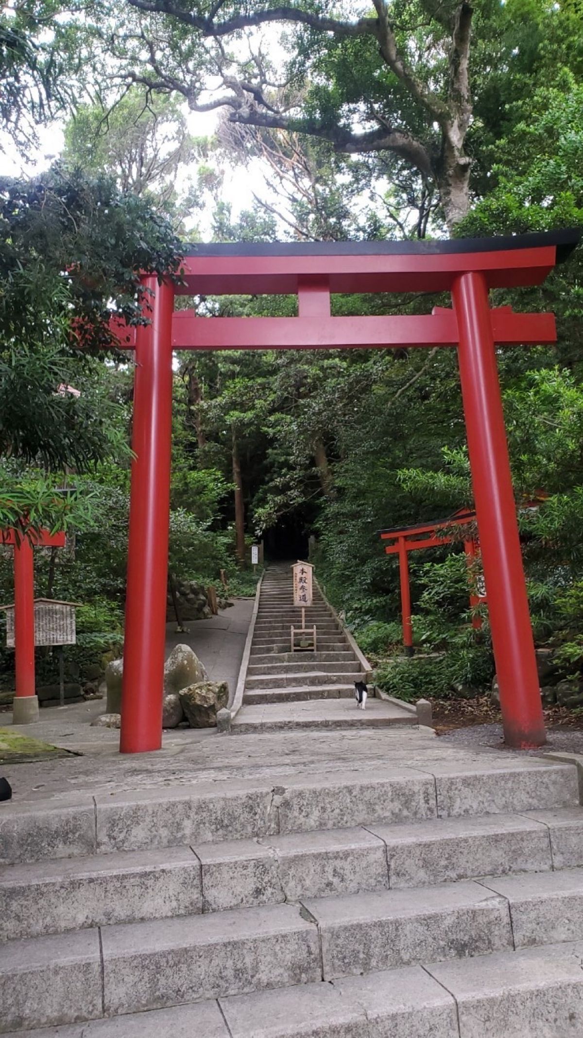 白浜神社