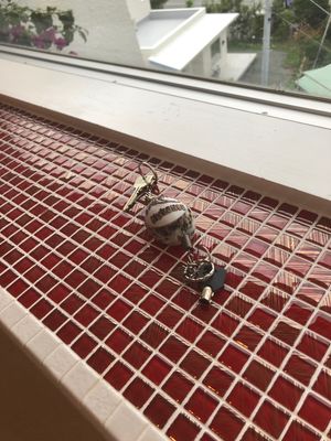 Hotel Sea shell