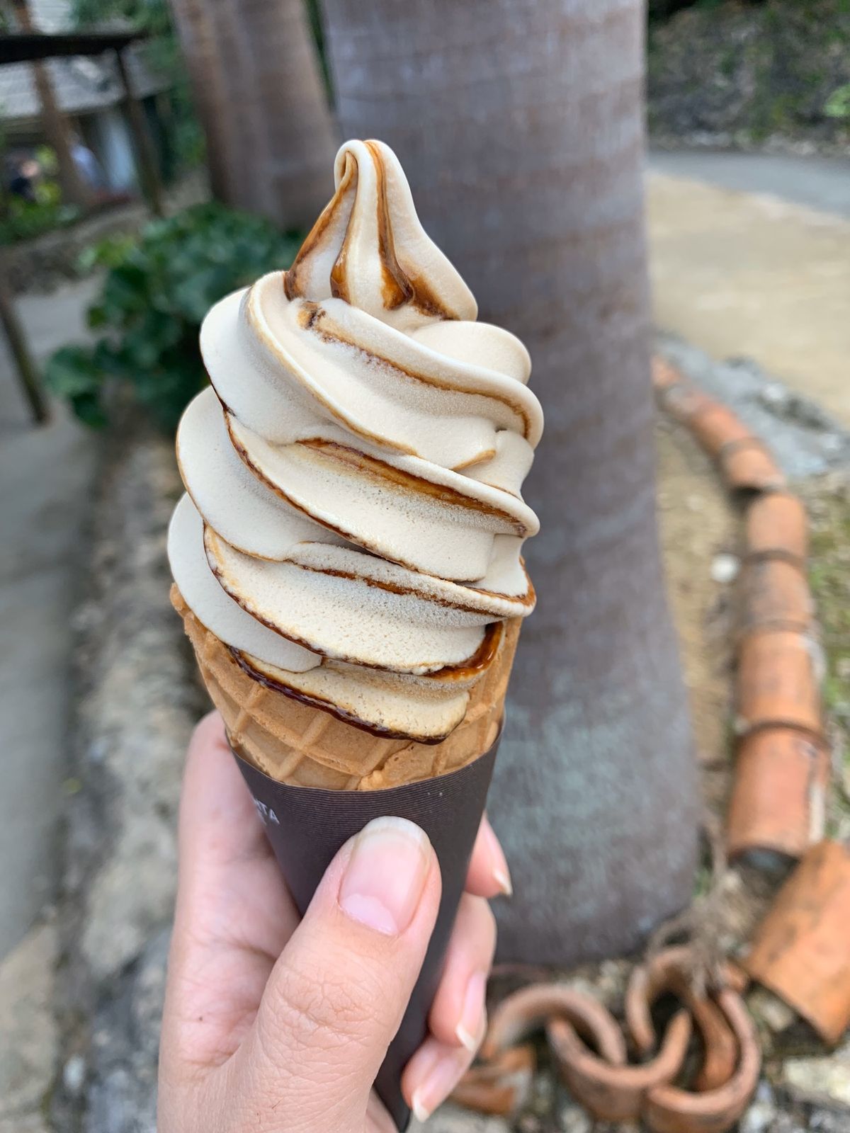 沖縄で食べたもの～その①～