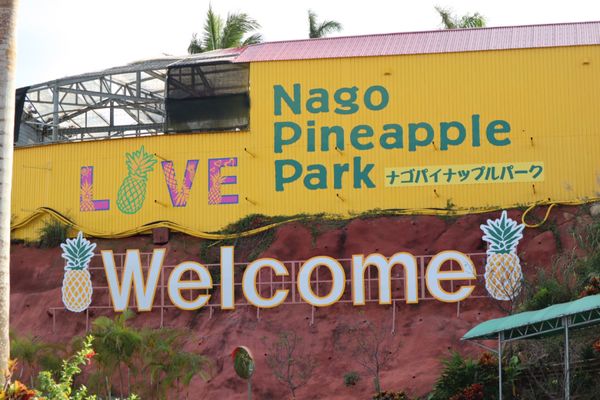 日本・沖縄「沖縄女4人旅」の写真：パイナップルパーク🍍