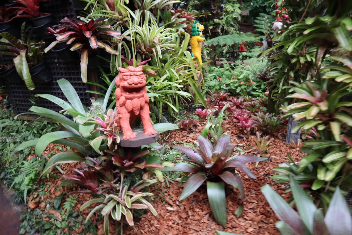 パイナップルパーク🍍