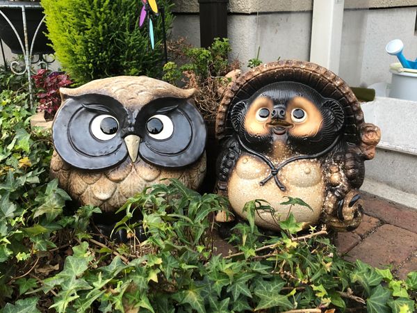 日本・滋賀県「内緒の滋賀旅🤫」の写真：信楽焼&amp;クラブハリエ