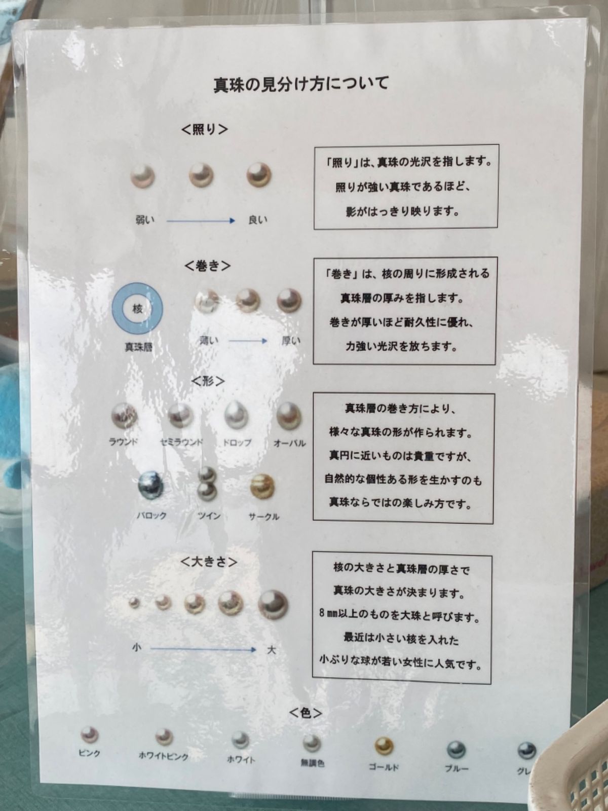 せっかくなので真珠取り体験した！
ギューーーっと押すとパカっと開く😳

ス...