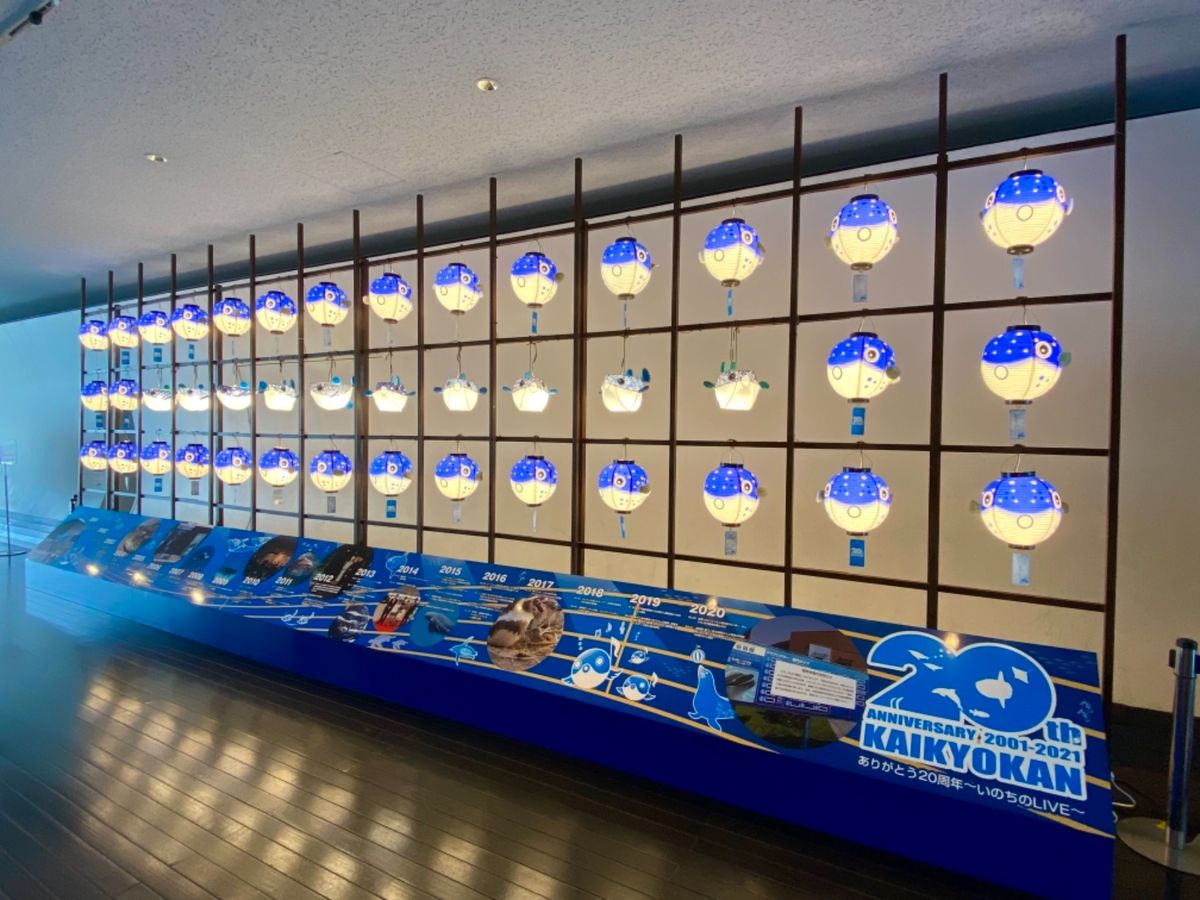 午前中に少し時間ができたので海響館へ！
なんだかんだ行くのは初めて！

魚...