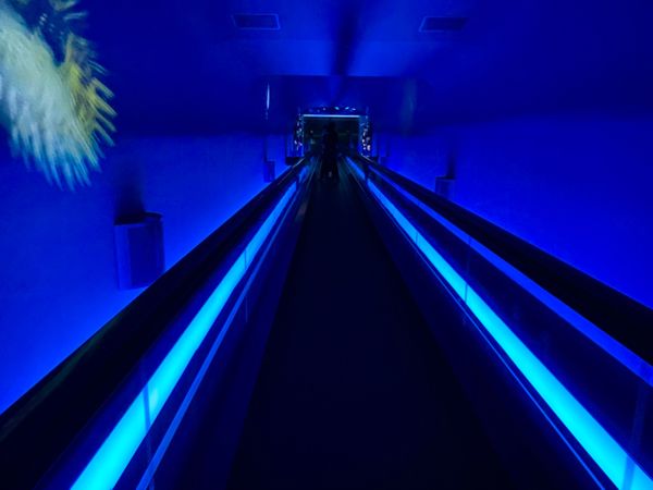 日本・山口県「下関の海の幸に舌鼓の山口出張」の写真：午前中に少し時間ができたので海響館へ！
...