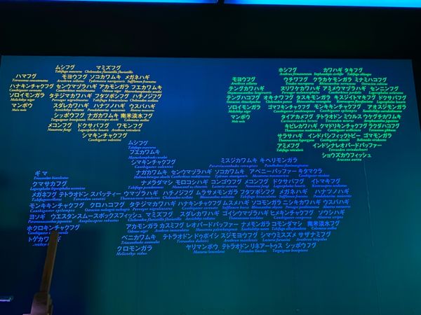 日本・山口県「下関の海の幸に舌鼓の山口出張」の写真：魚の名前でお魚柄作ってるの可愛い☺️

...