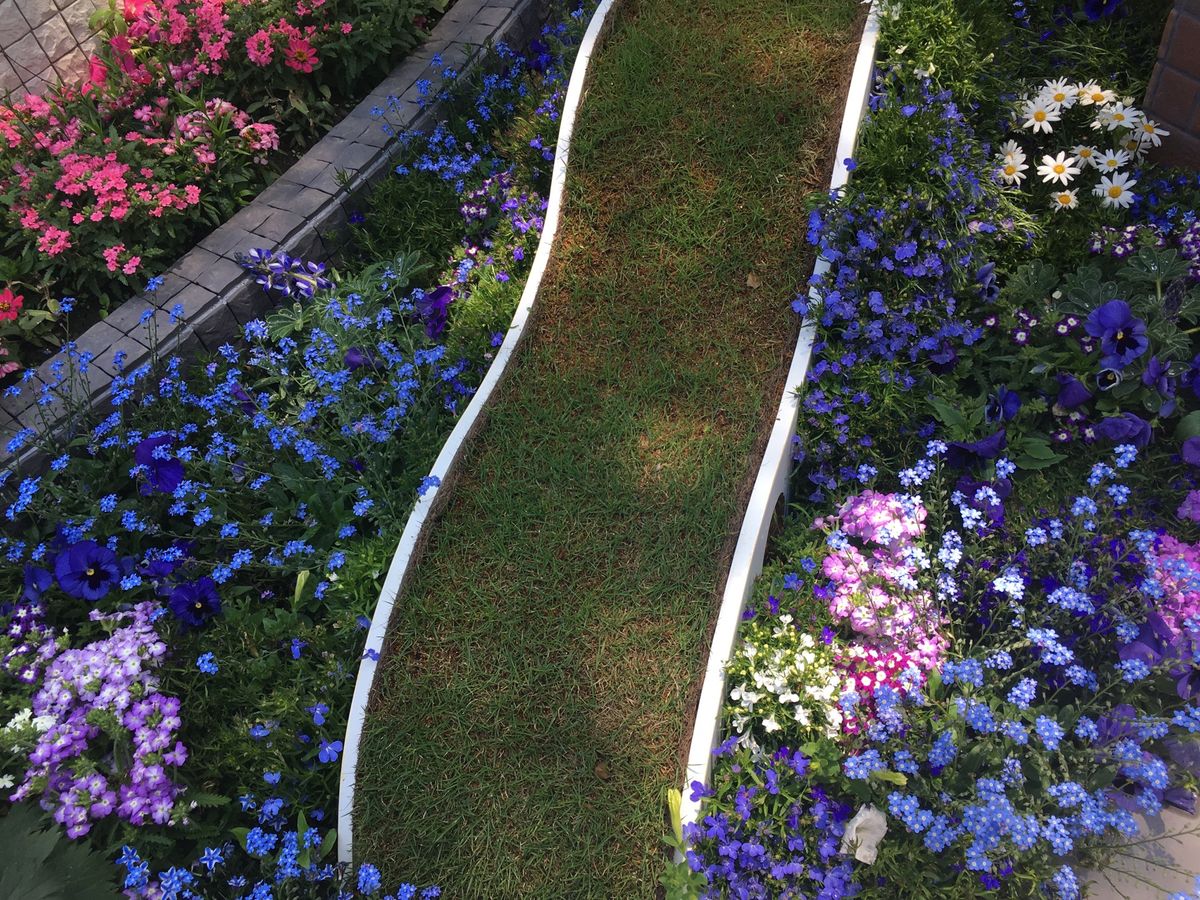 🌸信州花フェスタ🌸

2019年に松本空港近くの信州スカイパークでしていた...