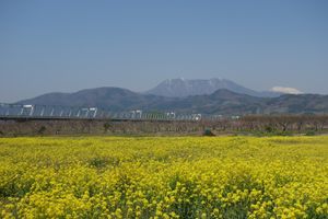 🌸千曲川河川公園🌸

撮影日：2021/4/20

千曲川といえば八重桜の...