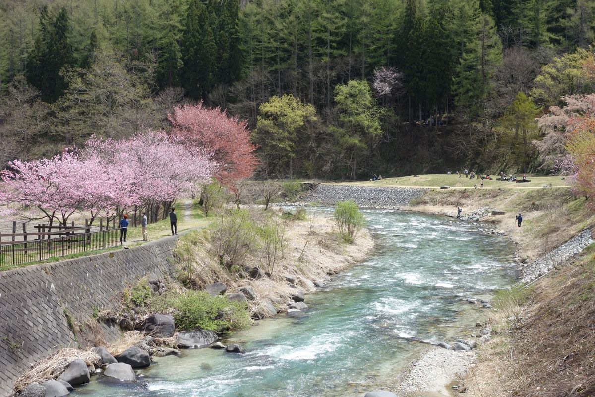 🌸白馬🌸

撮影日:2021/4/27

松本からレンタカーで一時間半くら...