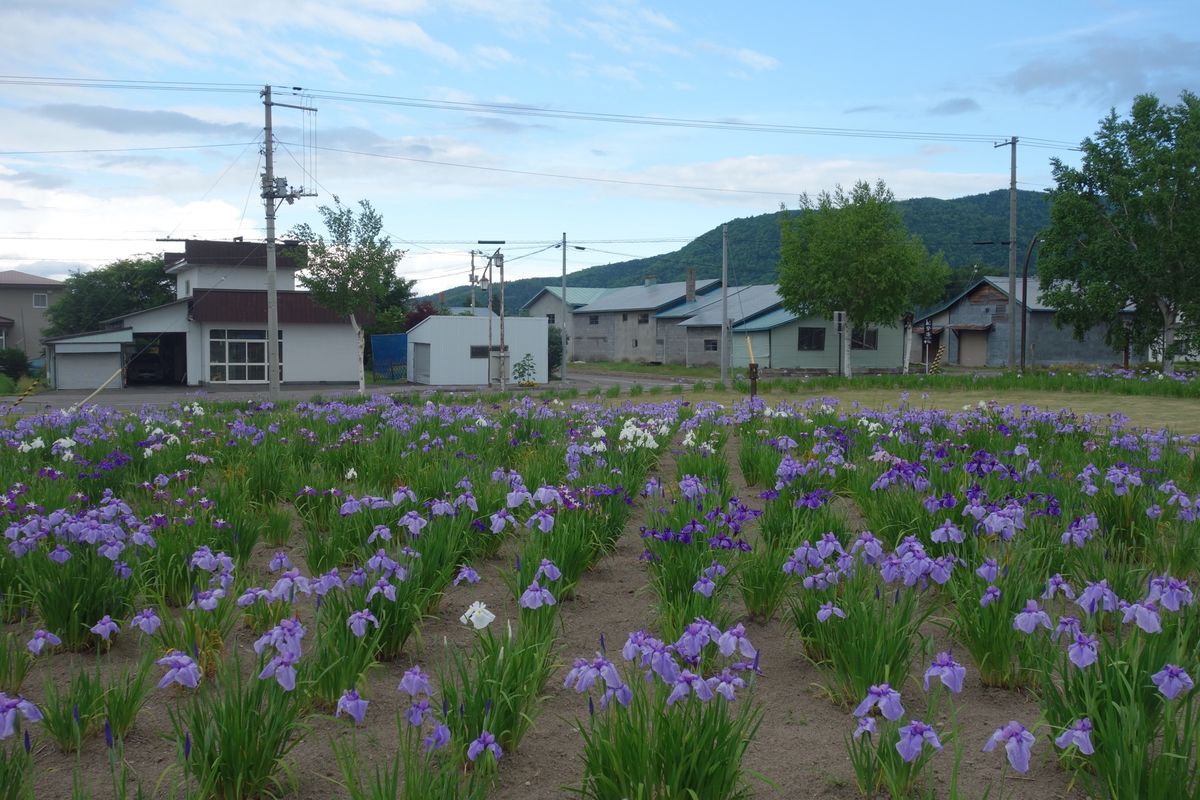 紋別から北見市の留辺蘂にある果夢林の館に行く途中に少し遅めのランチをしまし...