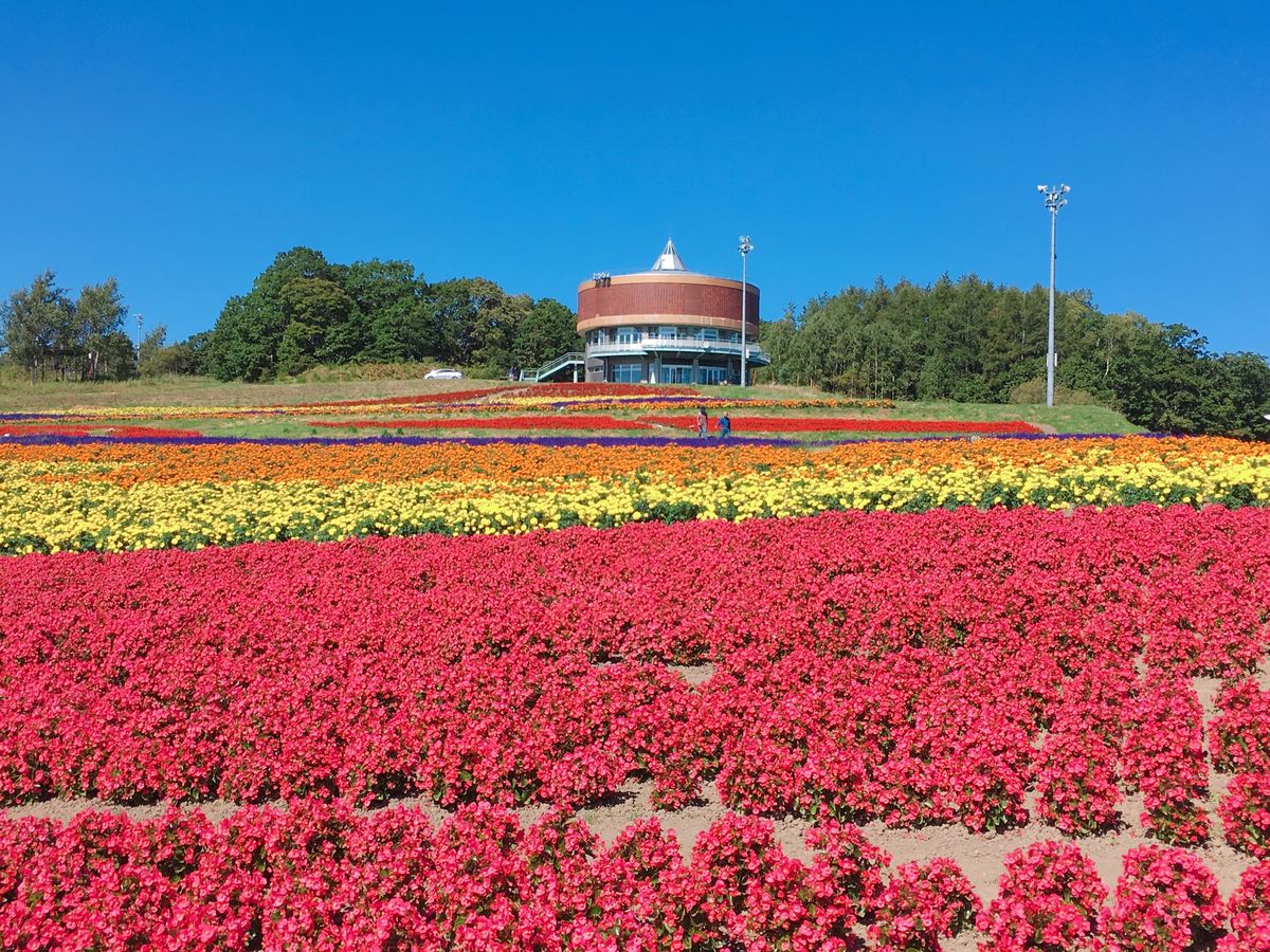 🌷はなてんと🌷

オホーツク流氷館の近くにある花畑です🍀
紫・赤・オレンジ...