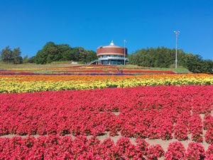 🌷はなてんと🌷

オホーツク流氷館の近くにある花畑です🍀
紫・赤・オレンジ...
