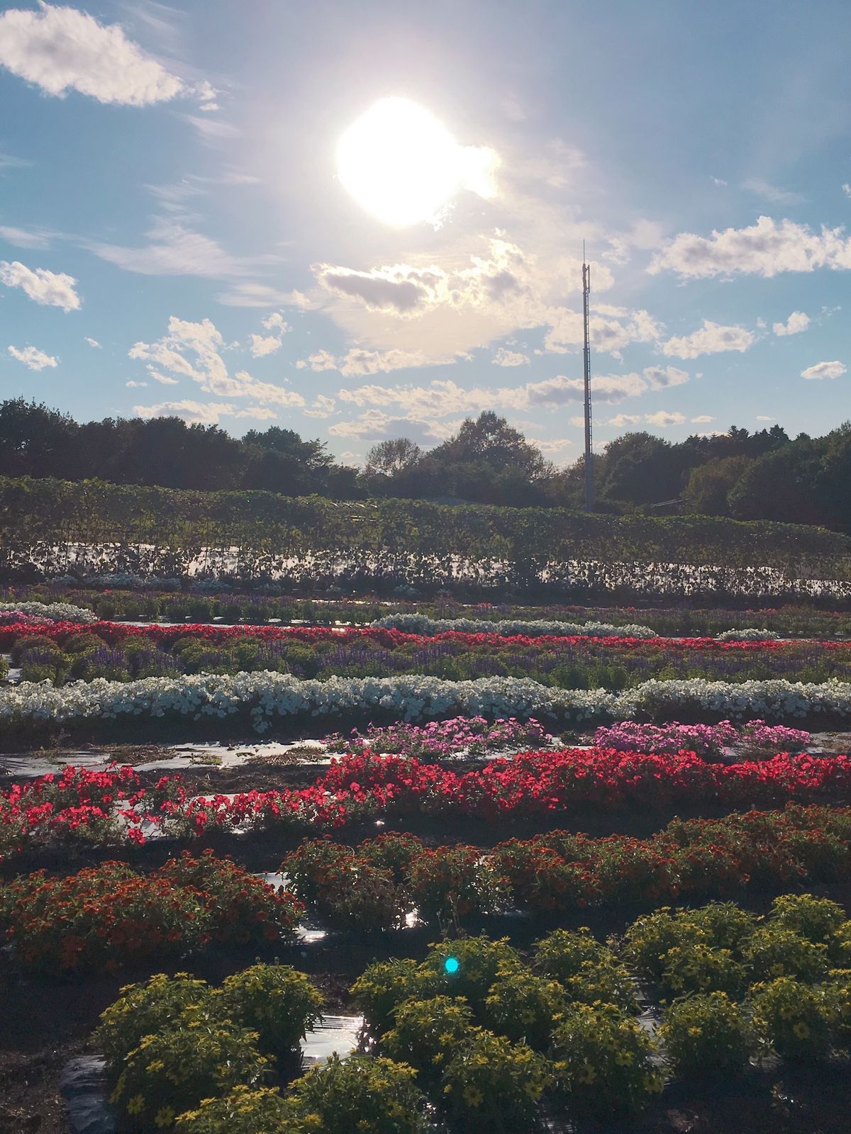 🌻サロマ湖🌻

あの有名な(?)サロマ湖は遠軽から網走駅に戻る間にあります...