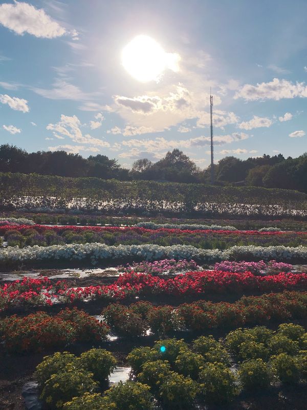 日本・北海道「オホーツク」の写真：🌻サロマ湖🌻

あの有名な(?)サロマ湖...