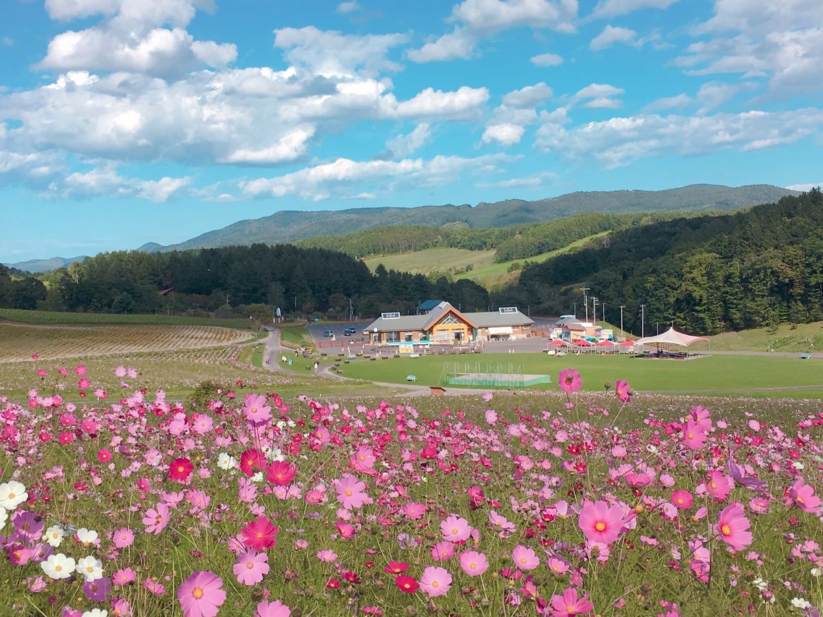 🌸太陽の丘えんがる公園🌸

撮影日：2020/9/16

秋には何箇所もコ...