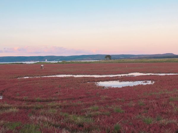 日本・北海道「オホーツク」の写真：🍂能取湖🍂

網走駅から車で20分程度の...