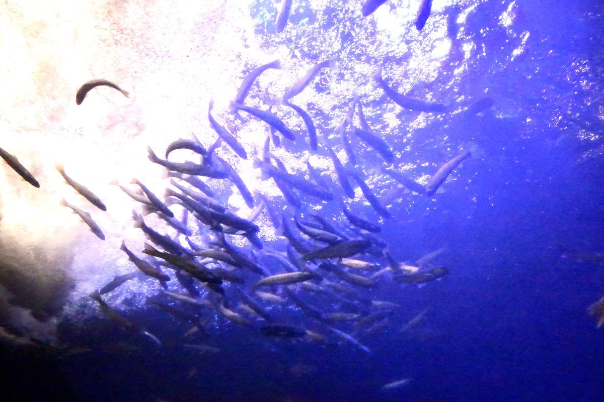 紋別から北見市の留辺蘂にある果夢林の館に行く途中に少し遅めのランチをしまし...