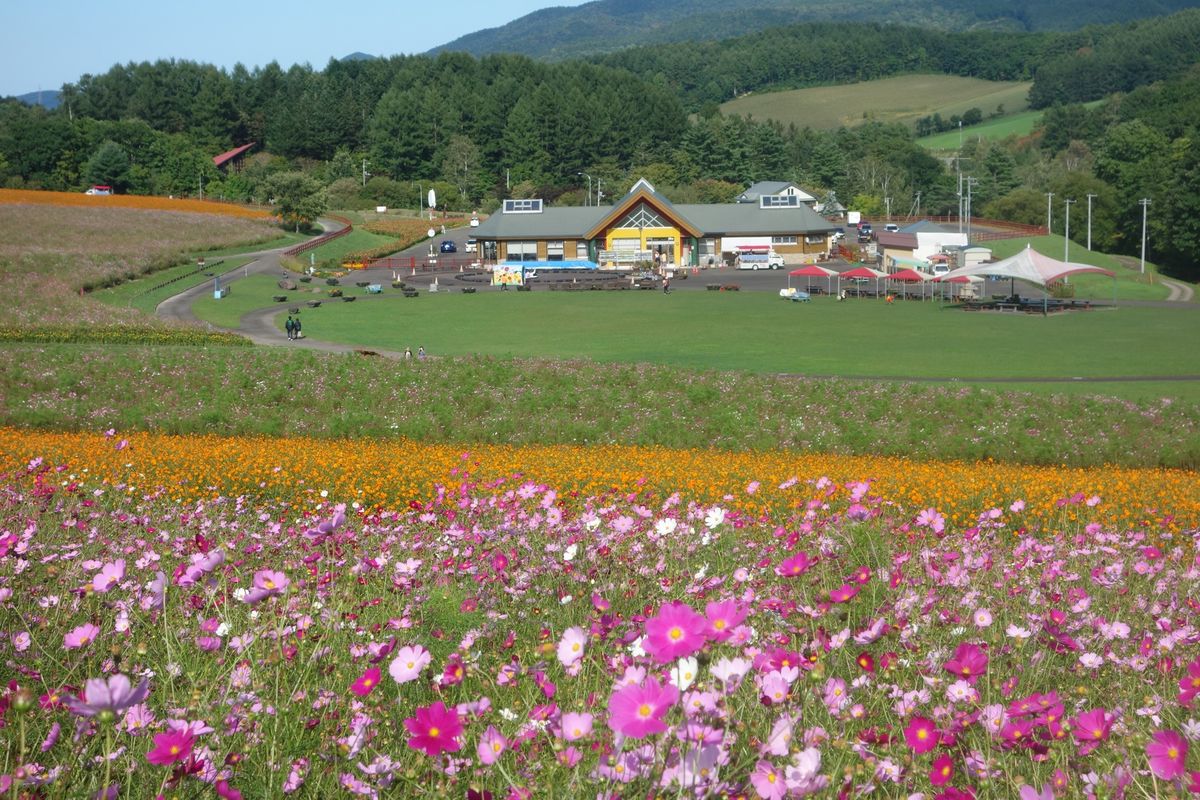 🌸太陽の丘えんがる公園🌸

撮影日：2020/9/16

秋には何箇所もコ...