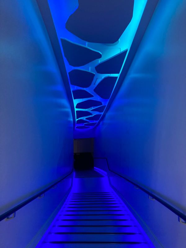 日本・北海道「オホーツク」の写真：🧊オホーツク流氷館🧊

網走港は流氷めぐ...