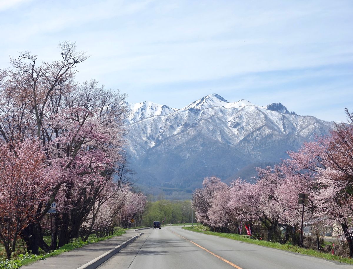 🌸東大演習林🌸

南富良野から富良野市に行く途中にある東大演習林は国道沿い...