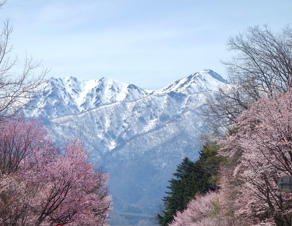 🌸東大演習林🌸

南富良野から富良野市に行く途中にある東大演習林は国道沿い...