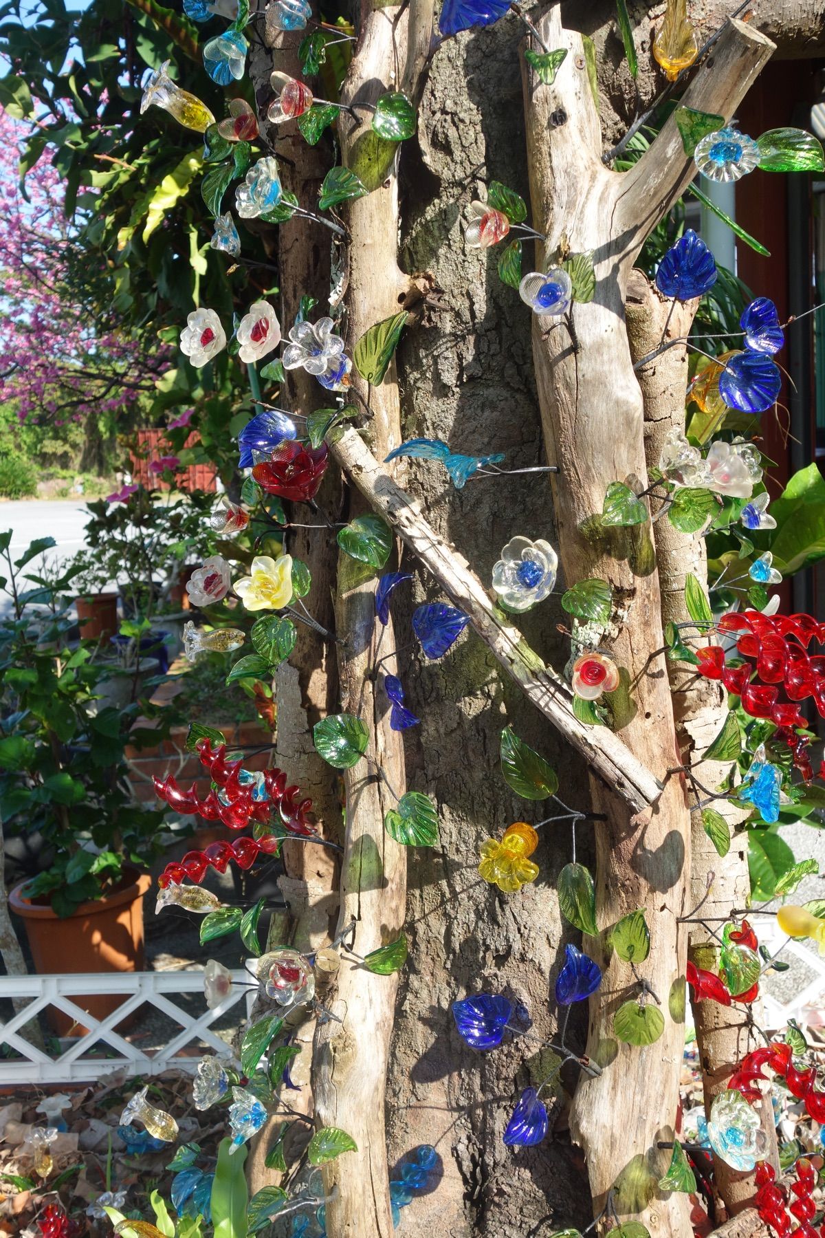 🌸名護中央公園🌸

沖縄で有名な観光地が数多く点在する名護市です🍍
近くに...