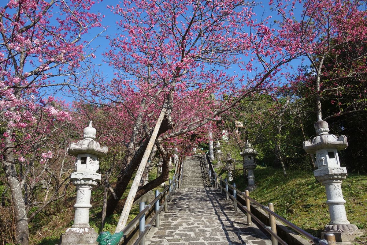 🌸名護中央公園🌸

沖縄で有名な観光地が数多く点在する名護市です🍍
近くに...