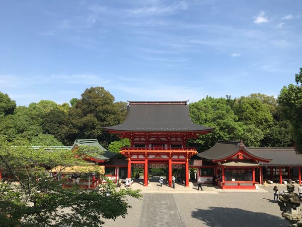 日本・滋賀県「近江神宮」の写真