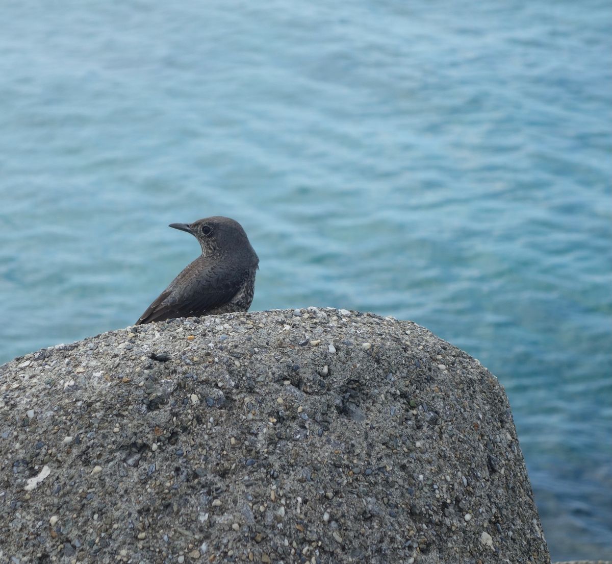 🌌17END🌌

下地島空港の隣にあって、星空スポットですが昼間は海がとて...