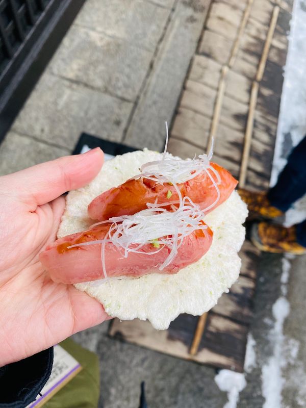 日本・飛騨高山「飛騨高山旅行」の写真
