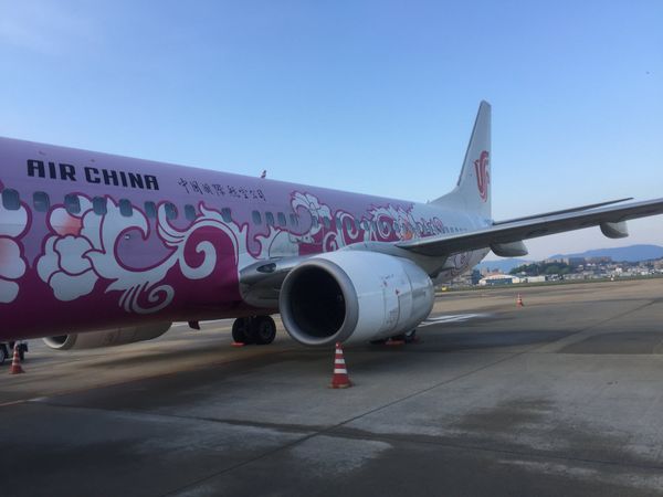 シンガポール・シンガポール「GWに往復38,000円でシンガポールに行く」の写真：03/May/2017
CA954　FU...