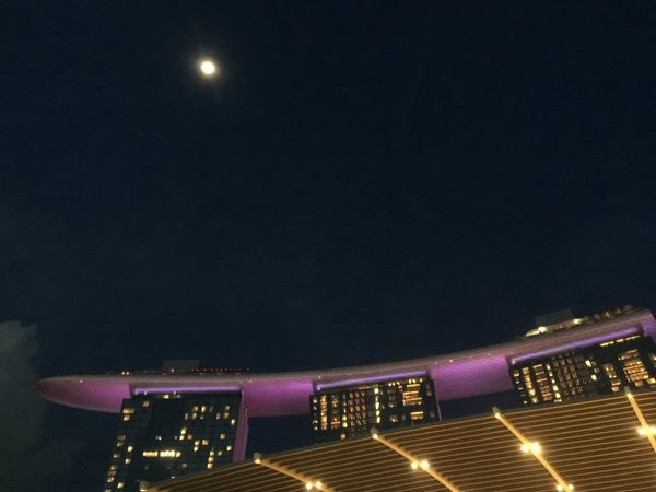 シンガポール・シンガポール「GWに往復38,000円でシンガポールに行く」の写真：ベイサンズの下で夜のライトアップ