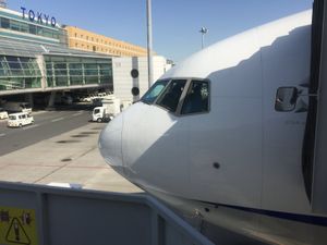 02/May/2017　
NH243　HND-FUK
JA745A　Boe...