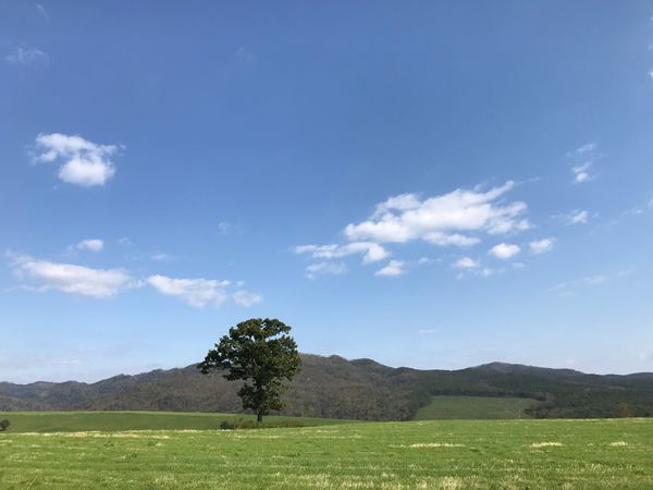 日本・北海道「北海道」の写真