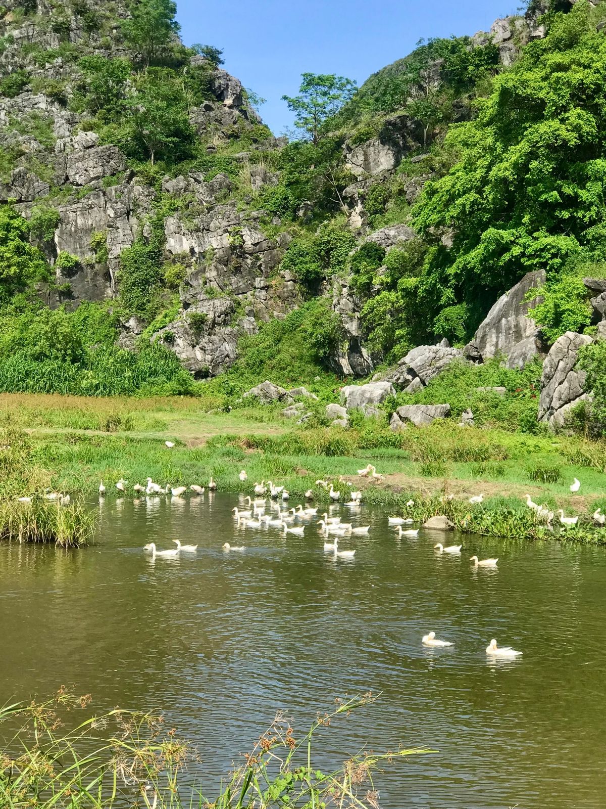 ニンビンツーリングにて
ハノイからニンビンに来ると、青空の青さや緑の濃さが...
