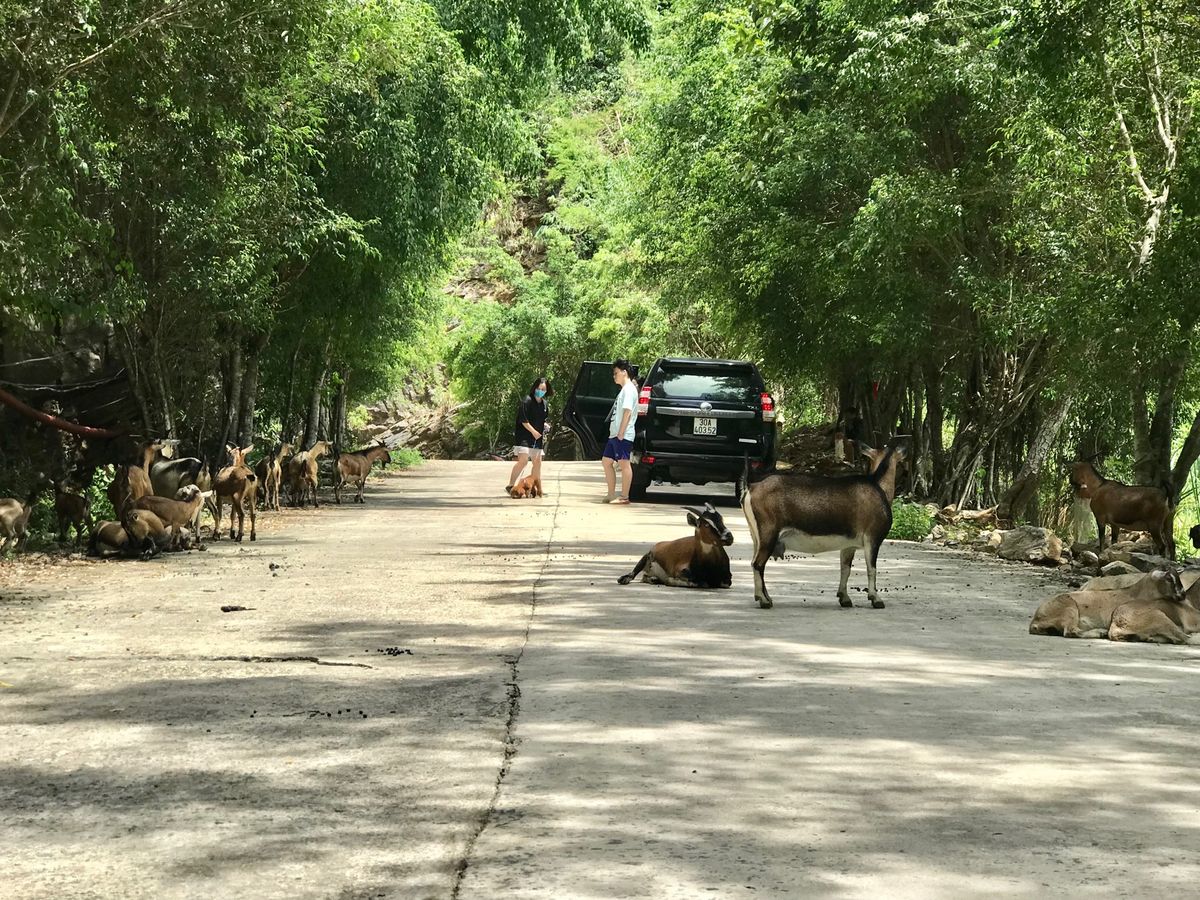 Thung Nham Bird Parkって自然公園に行こうと思ったら、コ...