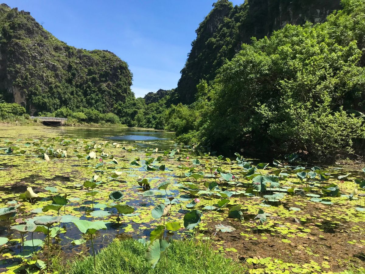 ニンビンの市内でレンタルしたバイクで出発。
市内を少し外れただけで、ぽこぽ...