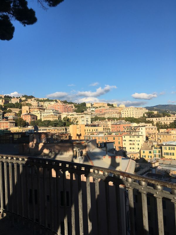 イタリア・ジェノヴァ「イタリアの思い出」の写真：ジェノヴァ　山側展望台から海側を見下ろす...